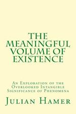 The Meaningful Volume of Existence: An Exploration of the Overlooked Intangible Significance of Phenomena 