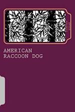 American Raccoon Dog