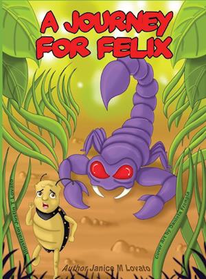 A Journey for Felix