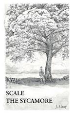 Scale the Sycamore