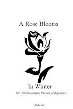 A Rose Blooms in Winter