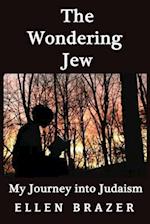 The Wondering Jew My Journey Into Judaism