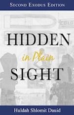 Hidden in Plain Sight