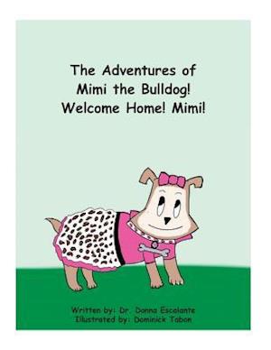 The Adventures of Mimi the Bulldog! Welcome Home! Mimi!