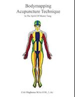 Bodymapping Acupuncture Technique