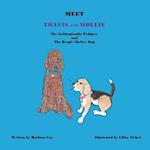 Meet Travis and Mollie, the Goldendoodle Pedigree and the Beagle Shelter Dog