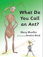 WHAT DO YOU CALL AN ANT