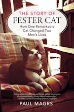 Story of Fester Cat