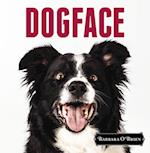 DogFace