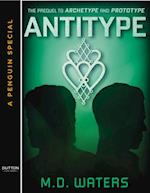 Antitype