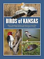Thompson, M:  Birds of Kansas