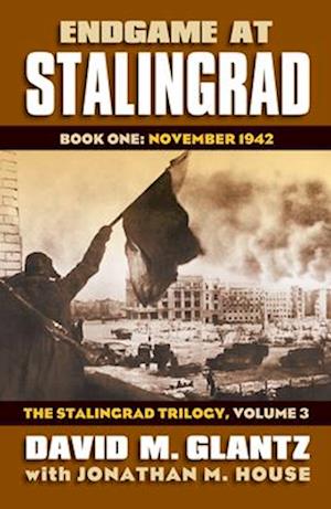 Endgame at Stalingrad