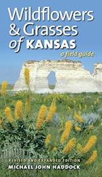 Wildflowers and Grasses of Kansas