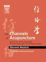 E-Book - The Channels of Acupuncture