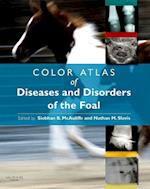 Color Atlas of Diseases and Disorders of the Foal E-Book