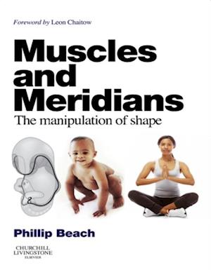 Muscles and Meridians