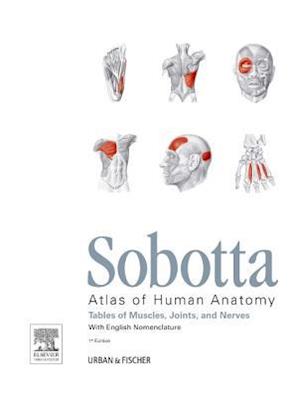 Sobotta Tables of Muscles, Joints and Nerves, English