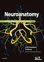 Neuroanatomy E-Book