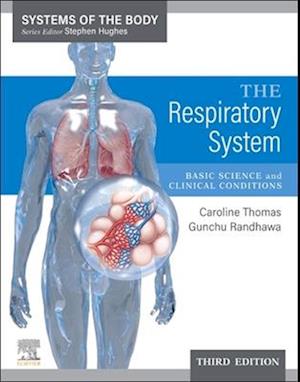 Respiratory System