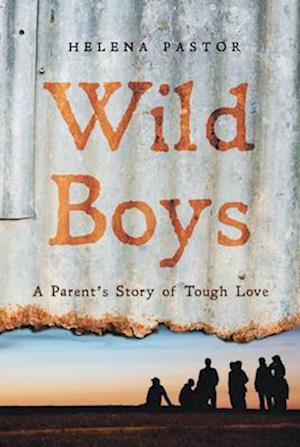 Wild Boys: A Parent's Story of Tough Love