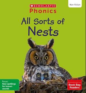 All Sorts of Nests (Set 9) Matched to Little Wandle Letters and Sounds Revised