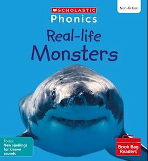 Real-life Monsters (Set 10) Matched to Little Wandle Letters and Sounds Revised