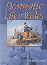 Domestic Life in Wales