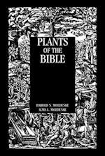 Plants Of The Bible