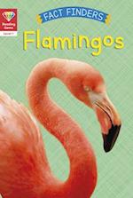 Reading Gems Fact Finders: Flamingos (Level 1)