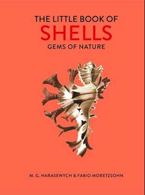 Little Book of Shells