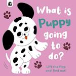 What Is Puppy Going to Do?, 4
