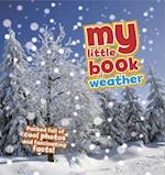 My Little Book of Weather