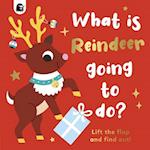 What Is Reindeer Going to Do?