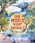 One World Many Animals