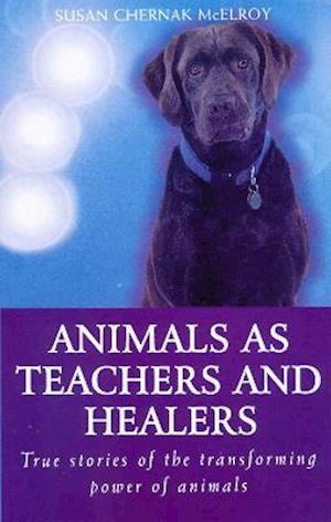 Animals As Healers And Teachers