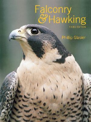 Falconry and Hawking