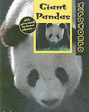 Giant Pandas