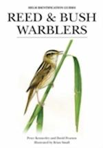 Reed and Bush Warblers