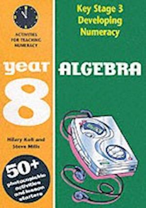 Algebra: Year 8