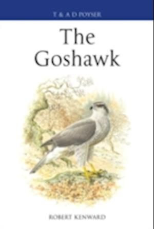 The Goshawk