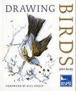 Drawing Birds