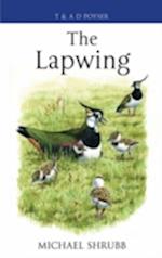 The Lapwing