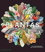 Plantas: Una Exploración del Mundo Botánic (Plant: Exploring the Botanical World) (Spanish Edition)