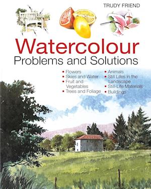 Watercolour Problems and Solutions