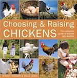 Choosing and Raising Chickens
