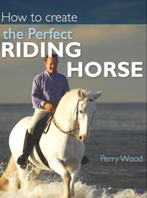 How to Create the Perfect Riding Horse