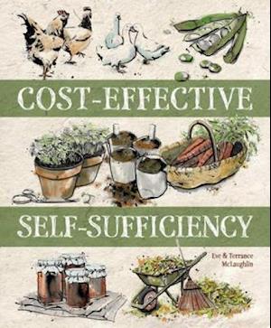 Cost-Effective Self-Sufficiency