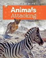 Animals Attacking 