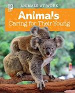 Animals Caring for Their Young 