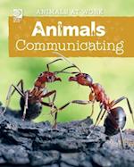 Animals Communicating 